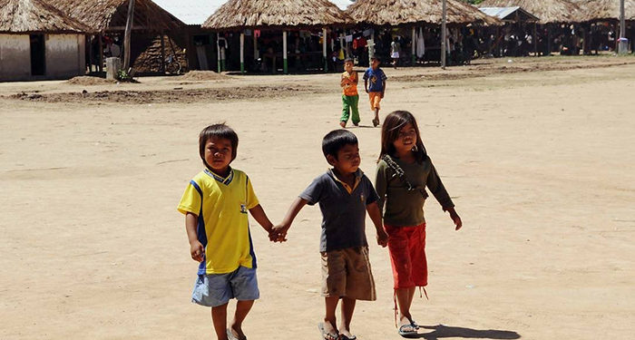 Plenário referenda liminar que suspendeu medida provisória que transferia demarcação de terras indígenas para Ministério da Agricultura