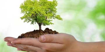 Mossoró: Caern assina acordo com MPRN para cumprir compensação ambiental