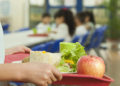 MPRN recomenda que Conselho de Alimentação Escolar de São Francisco do Oeste cumpra suas funções