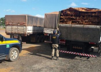 Veículo alugado flagrado em crime ambiental também pode ser apreendido, decide Segunda Turma