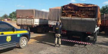 Veículo alugado flagrado em crime ambiental também pode ser apreendido, decide Segunda Turma