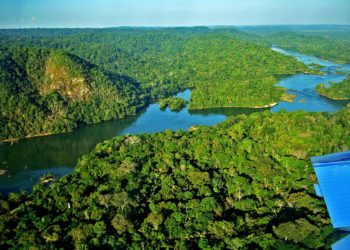 Nova edição do boletim “Acórdãos Publicados” apresenta teses do julgamento sobre Código Florestal