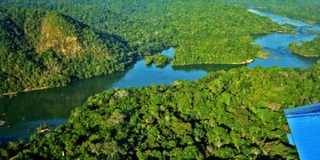 Nova edição do boletim “Acórdãos Publicados” apresenta teses do julgamento sobre Código Florestal