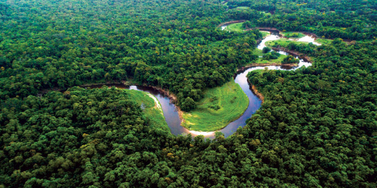 Deputada não consegue liminar para garantir amplo acesso público a dados sobre Amazônia