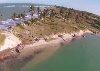 Acordo do MPRN visa recuperação de mata ciliar do rio Maxaranguape