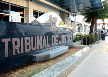 Desembargadores elogiam participação da Defensoria Pública em sessão da Câmara Criminal