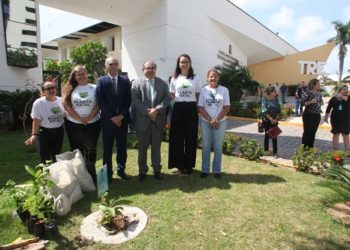 Lançada a semente da democracia
