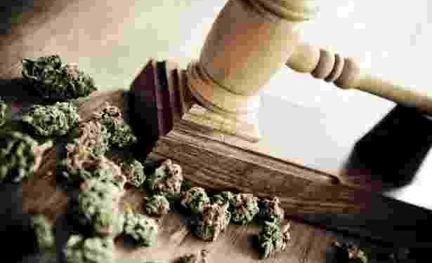 Juiz Federal do RN concede salvo conduto para aquisição da Cannabis