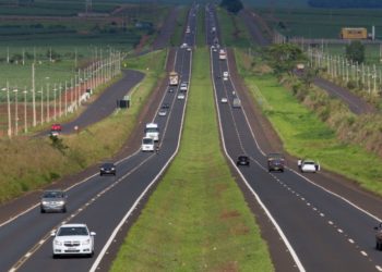 Estado e DER devem indenizar vítimas de acidente com animais soltos em rodovia