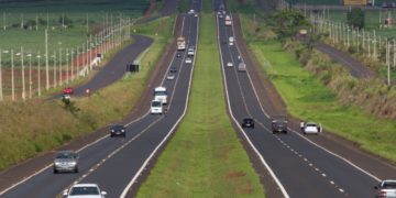 Estado e DER devem indenizar vítimas de acidente com animais soltos em rodovia