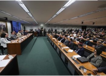 OAB defende importância dos conselhos profissionais em debate na Câmara