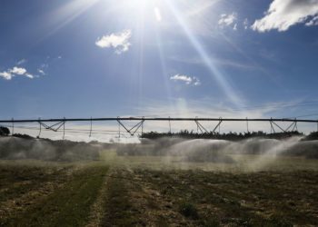 Termina hoje prazo para produtores aderirem ao Refis Rural