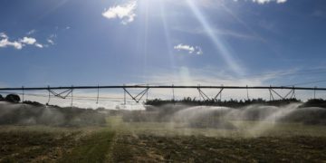 Termina hoje prazo para produtores aderirem ao Refis Rural