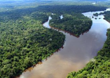 Partido pede a suspensão de decreto que alterou composição de conselho deliberativo do Fundo Nacional do Meio Ambiente