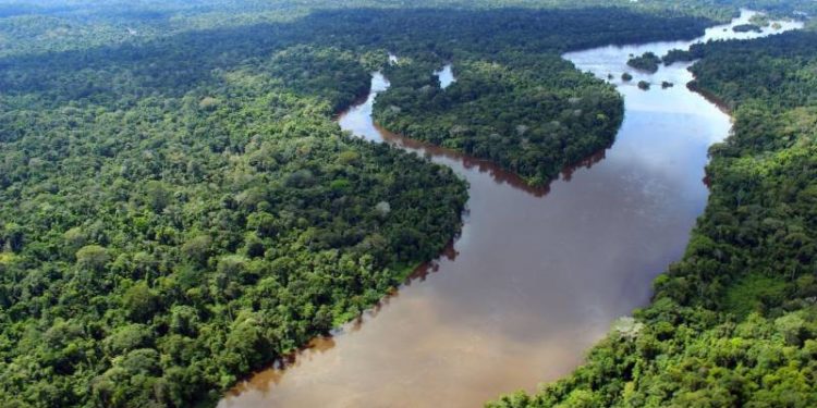 Partido pede a suspensão de decreto que alterou composição de conselho deliberativo do Fundo Nacional do Meio Ambiente