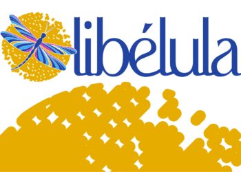 MPRN busca envolver empresas em projeto destinado a mulheres vítimas de violência doméstica em Parnamirim