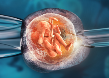 Quarta Turma do STJ afasta cobertura de fertilização in vitro com exclusão expressa no plano de saúde