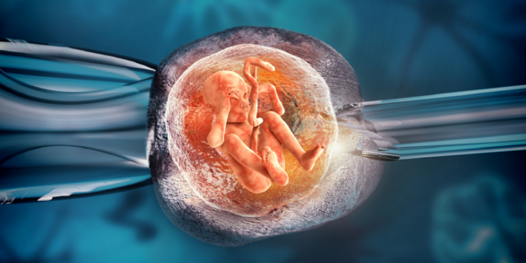 Quarta Turma do STJ afasta cobertura de fertilização in vitro com exclusão expressa no plano de saúde