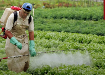 Ministro Lewandowski suspende portaria que permitiria liberação de agrotóxicos sem análise de órgãos competentes