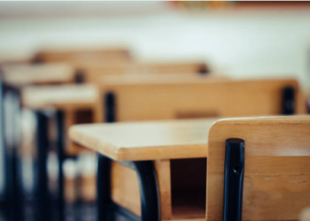 Professora que teve horas-aula reduzidas antes de licença-maternidade receberá diferenças