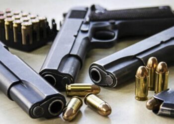 PDT contesta revogação de normas sobre monitoramento de armas e munições