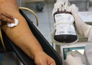 Proibição de doação de sangue por homens homossexuais é inconstitucional, decide STF