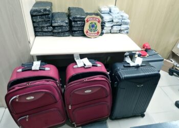 PF prende cinco pessoas e faz apreensão recorde de maconha no aeroporto de Natal