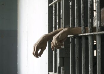 Operação Monte do Galo: Justiça condena sete pessoas por tráfico de drogas no Seridó