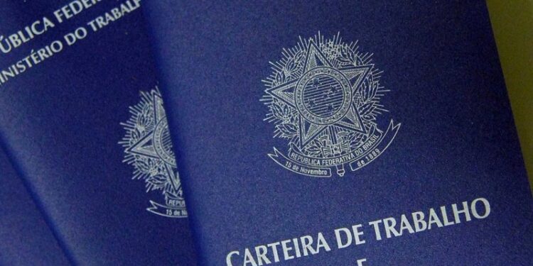 Norma que permite contratação pela CLT em conselhos profissionais é constitucional