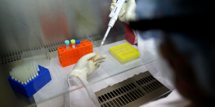 Covid-19: Ministério da Saúde anuncia nova plataforma com dados totais