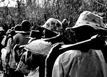 Sexta Turma reitera que delito de trabalho escravo não exige restrição à liberdade