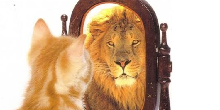 Confiança: vacina do medo.