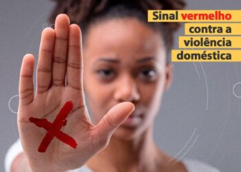 Pétalas despedaçadas