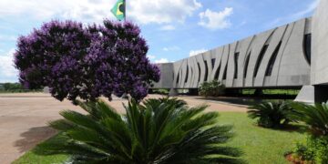 STJ nega soltar todos os presos do grupo de risco da covid-19