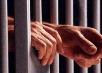 Tese sobre auxílio-reclusão no caso de segurado sem trabalho será submetida a revisão