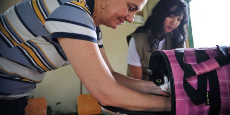 Penas para quem maltratar animais é ampliada pelo Senado Federal