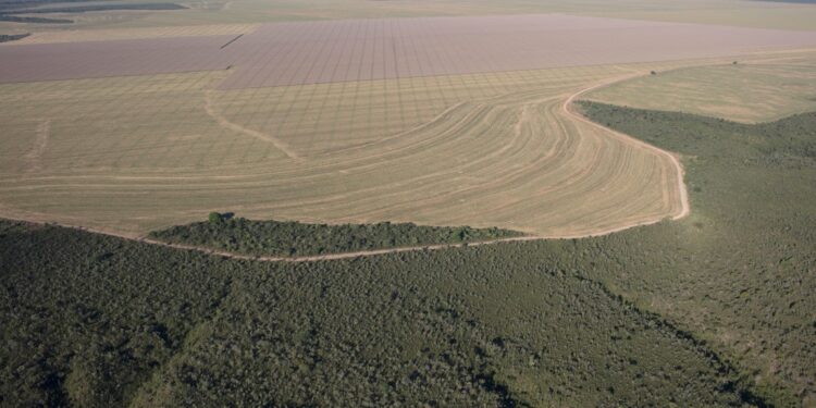 STF realiza audiência pública para debater o Fundo do Clima