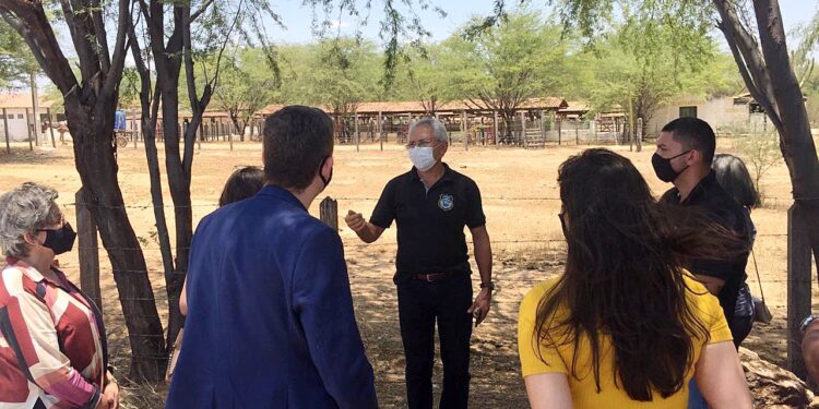 RN estuda instalação de alternativa ao sistema prisional comum