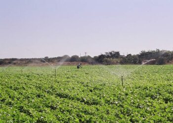 Projeto que amplia área de atuação da Codevasf está na pauta do Plenário