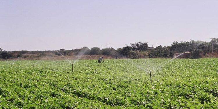 Projeto que amplia área de atuação da Codevasf está na pauta do Plenário