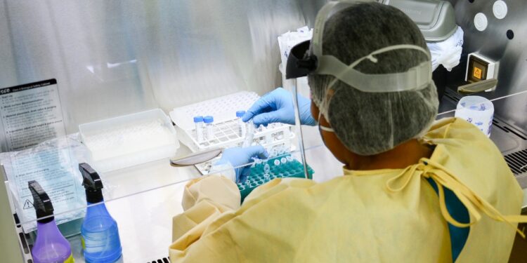 IMT registra aumento de testes positivos para covid-19