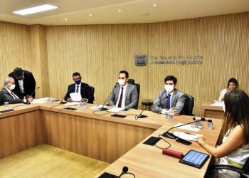 CCJ aprova política estadual de proteção dos direitos da pessoa com TEA