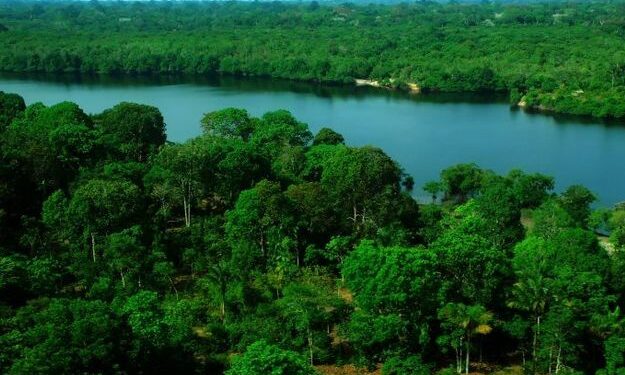 Câmara aprova projeto que prevê pagamento a agricultores por serviços ambientais