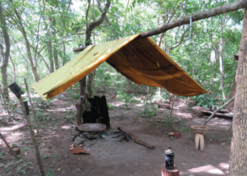 MPT recebe mais de 6 mil denúncias de escravidão e tráfico de pessoas