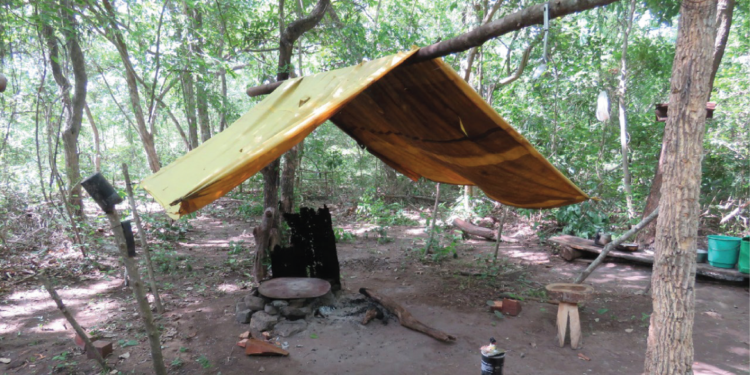 MPT recebe mais de 6 mil denúncias de escravidão e tráfico de pessoas