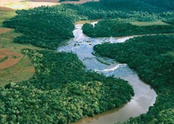 Área de Preservação Permanente deve ser computada no cálculo da Reserva Legal, diz MPF