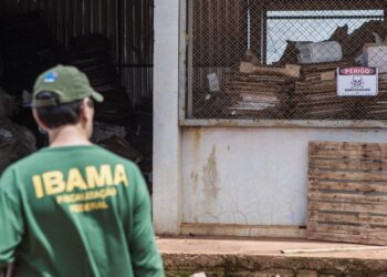 “Lei da Mordaça”: MPF é contra censura e repressão a servidores do Ibama