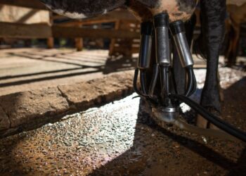 Câmara aprova projeto que cria cota para leite nacional na merenda