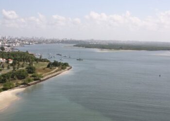 MPF recorre buscando condenação de responsáveis por desastre ambiental no Rio Potengi