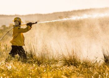 Processo seletivo ICMBio 2021: editais e inscrições; 224 vagas